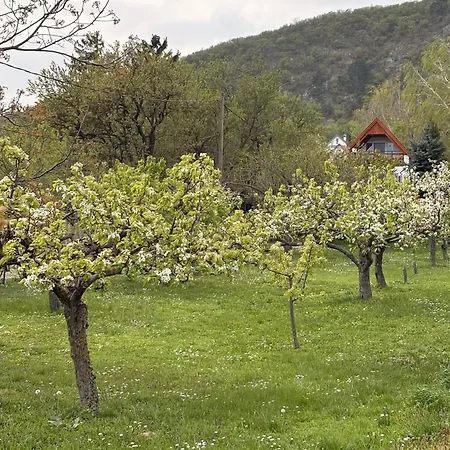 Balaton Newhill - Panorama View Homestay