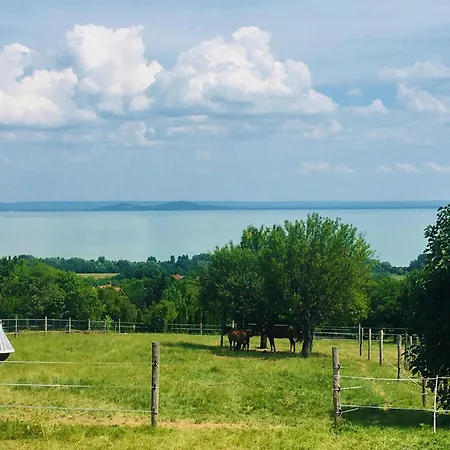 Homestay Balaton Newhill - Panorama View *