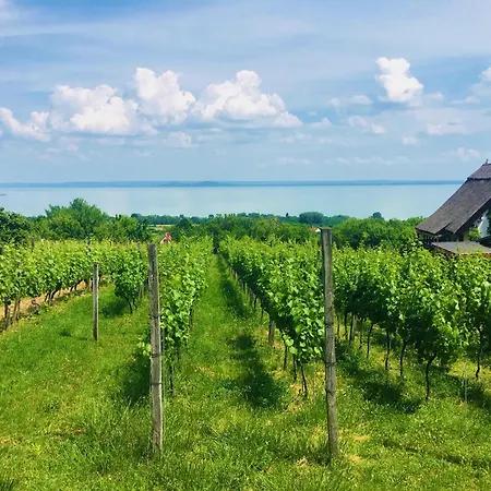 Homestay Balaton Newhill - Panorama View Balatonederics